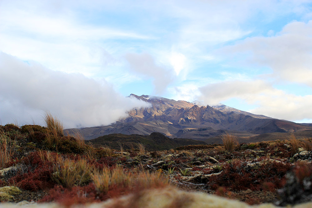 Vulkan - Tolle Fotos von Neuseelands vielfältiger Landschaft und Flora und Fauna vom Fotografen und Grafikdesigner Markus Wülbern